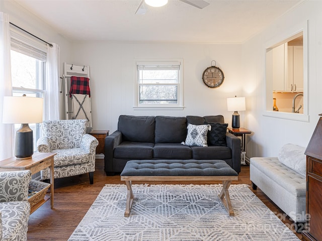 living room featuring dark hardwood / wood-style flooring, a wealth of natural light, and ceiling fan