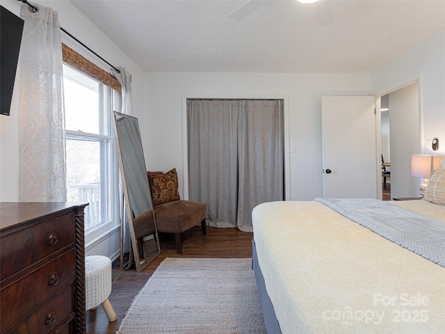 bedroom featuring a closet, ceiling fan, and dark wood-type flooring