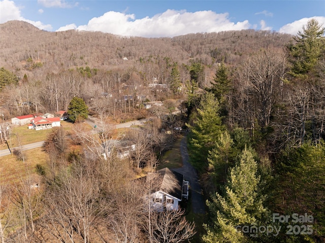 bird's eye view featuring a mountain view