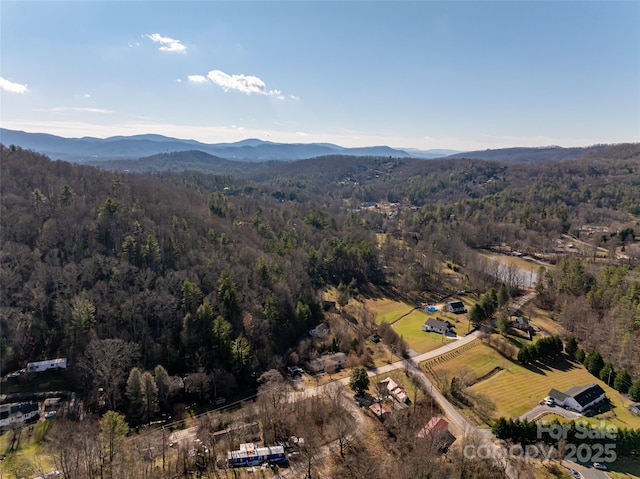 aerial view with a mountain view