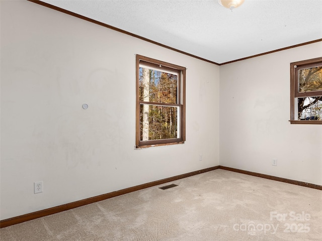 empty room with carpet flooring and crown molding