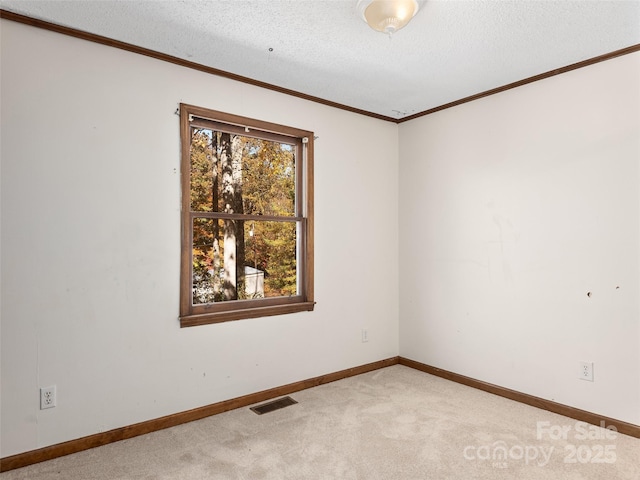 carpeted spare room with crown molding and a textured ceiling