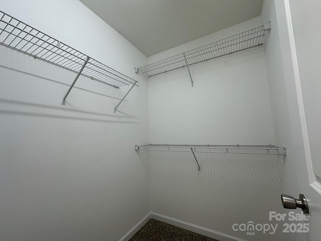 view of spacious closet