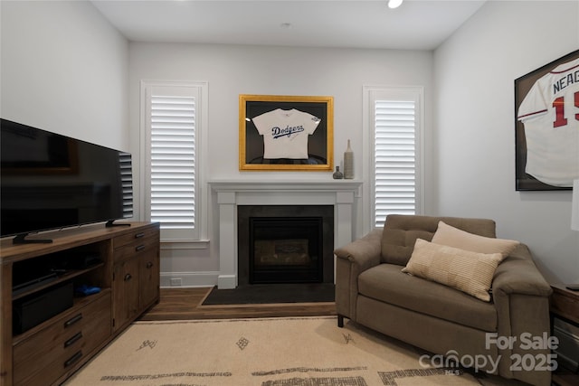 living room with hardwood / wood-style floors