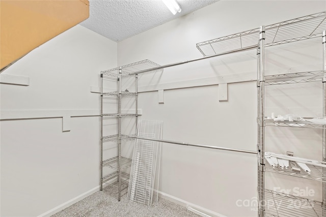 spacious closet featuring carpet flooring