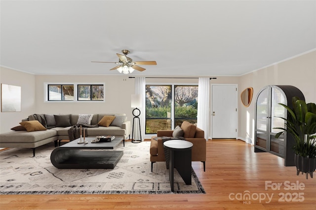 living room with light hardwood / wood-style floors, ceiling fan, and ornamental molding