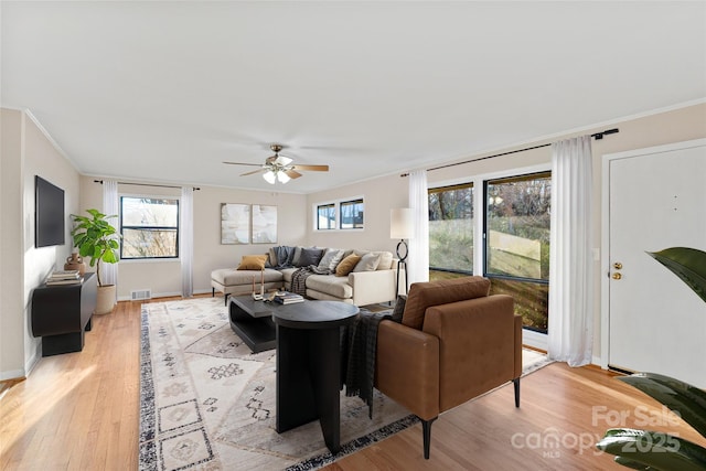 living room with ceiling fan, crown molding, and light hardwood / wood-style flooring