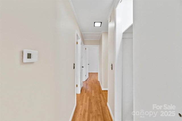 corridor featuring crown molding and light hardwood / wood-style floors