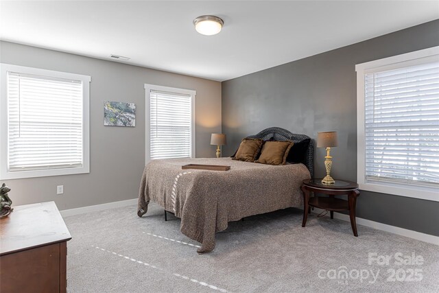 7 Pineview Rd, Fairview, NC 28730 - bedroom featuring light colored carpet, multiple windows, and baseboards