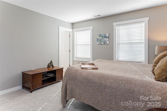 7 Pineview Rd, Fairview, NC 28730 - bedroom with light carpet and baseboards