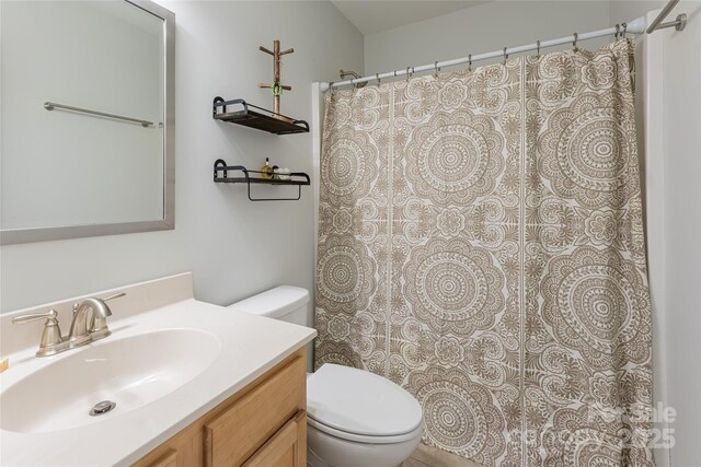 7 Pineview Rd, Fairview, NC 28730 - bathroom featuring toilet, vanity, and a shower with curtain