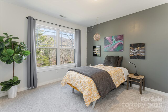 7 Pineview Rd, Fairview, NC 28730 - carpeted bedroom with baseboards