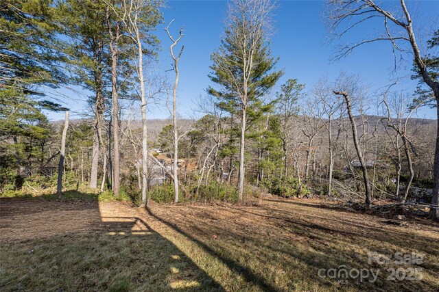 7 Pineview Rd, Fairview, NC 28730 - view of yard