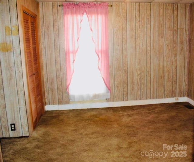 room details with carpet and wooden walls