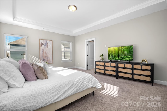 bedroom featuring light colored carpet and a raised ceiling