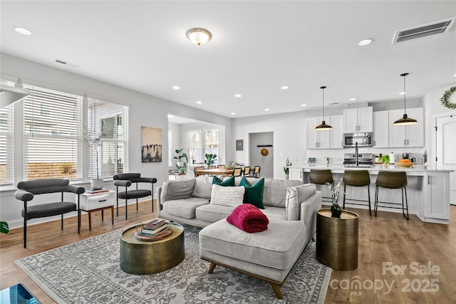 living room featuring light hardwood / wood-style flooring