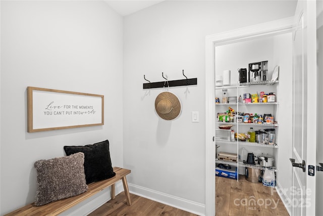 mudroom featuring hardwood / wood-style floors