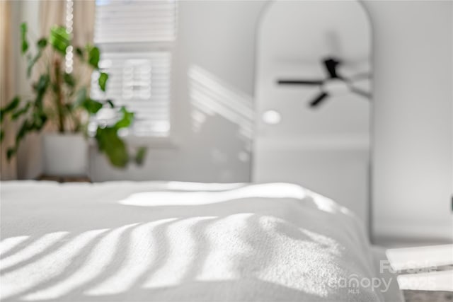 interior details featuring ceiling fan