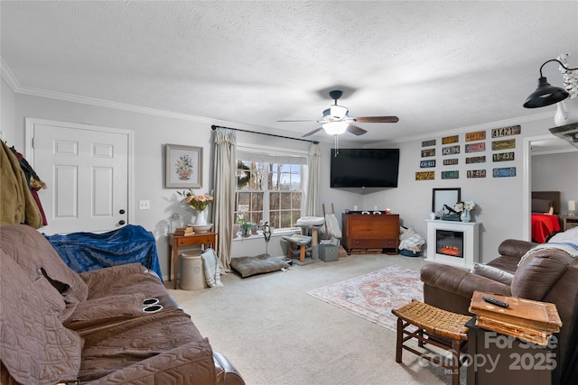 living room with carpet, ceiling fan, ornamental molding, and a textured ceiling