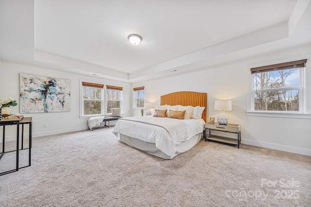 carpeted bedroom with a tray ceiling