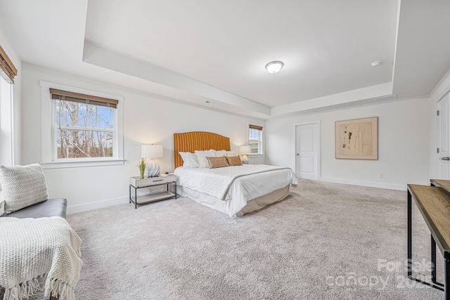 carpeted bedroom featuring a raised ceiling