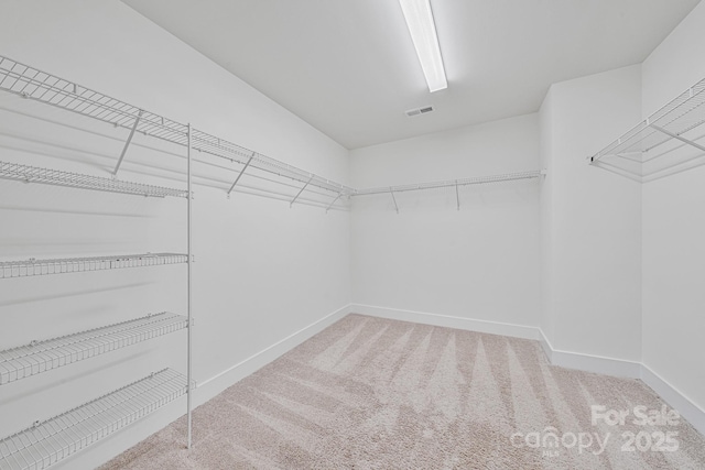 walk in closet featuring carpet floors