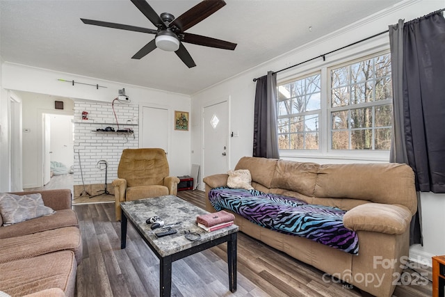 living room featuring ceiling fan, crown molding, and hardwood / wood-style flooring