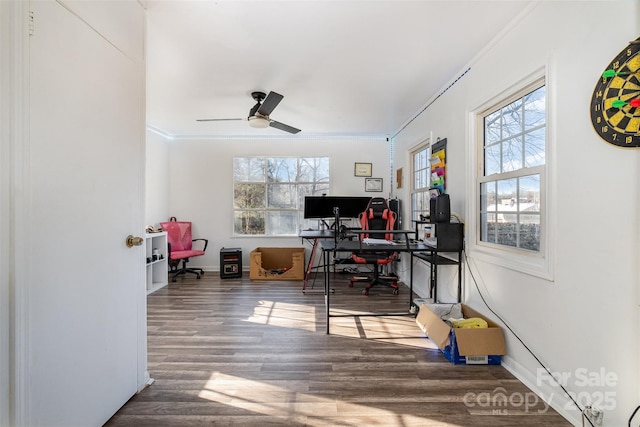 home office featuring hardwood / wood-style flooring, ceiling fan, a healthy amount of sunlight, and ornamental molding