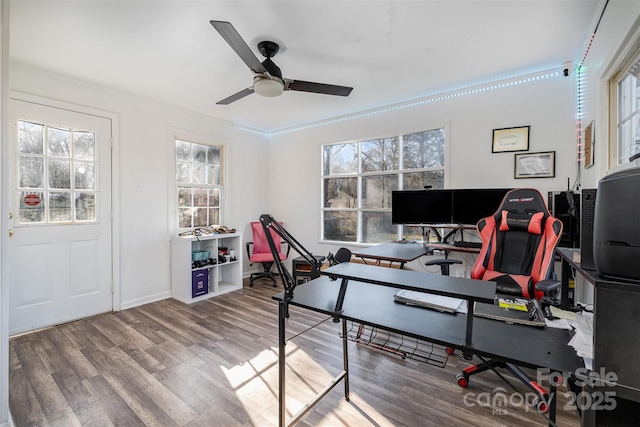 office featuring wood-type flooring, crown molding, ceiling fan, and a healthy amount of sunlight