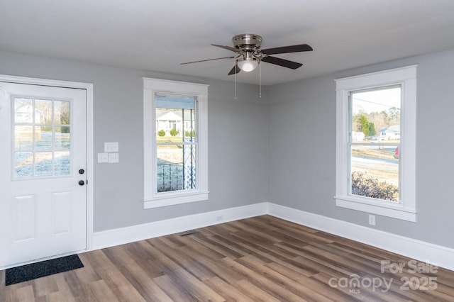 foyer entrance featuring wood-type flooring, ceiling fan, and a wealth of natural light