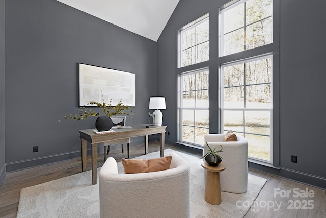 office area featuring hardwood / wood-style flooring and lofted ceiling