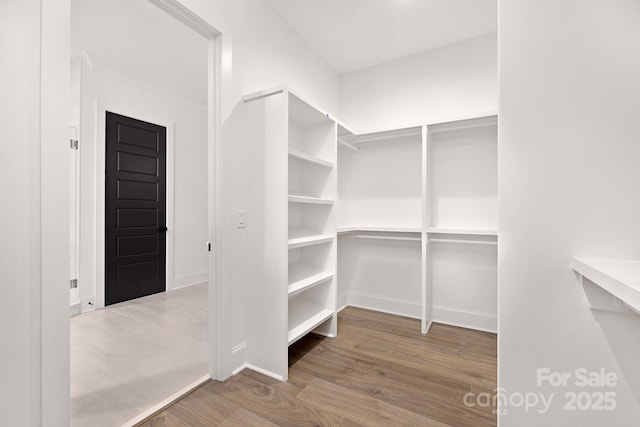 spacious closet featuring hardwood / wood-style flooring