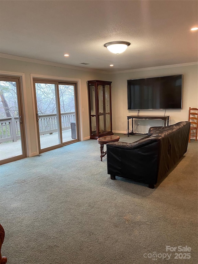 carpeted living room with ornamental molding and a textured ceiling