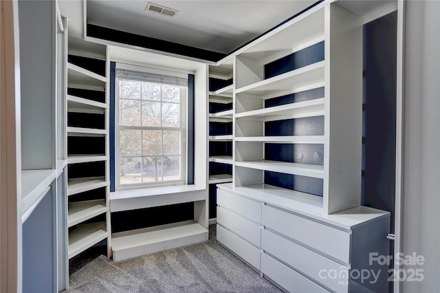 walk in closet with light colored carpet