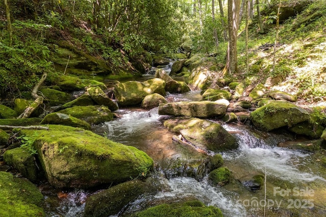 view of local wilderness