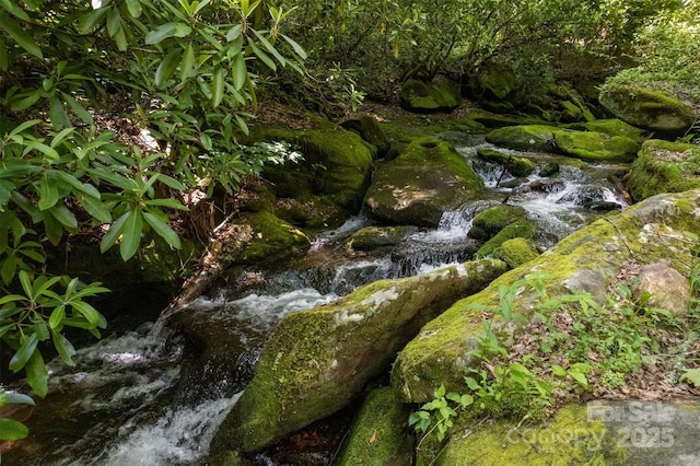 view of nature