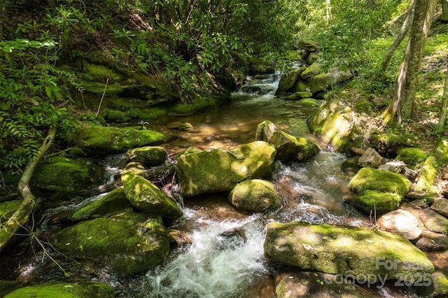 view of local wilderness