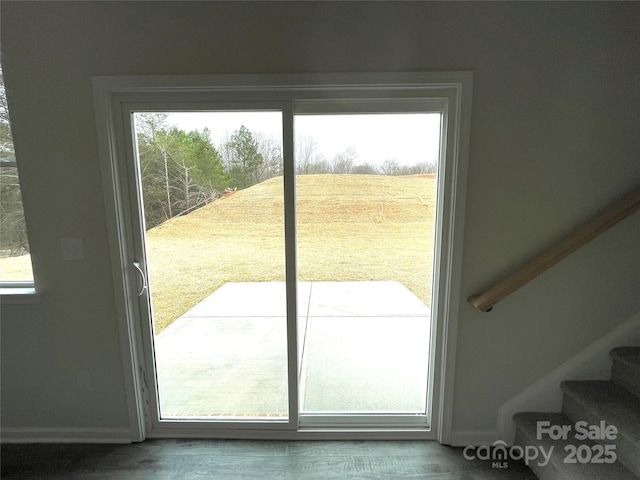 entryway with plenty of natural light