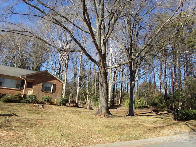 5514 Grafton Pl, Charlotte, NC 28212 - photo 14