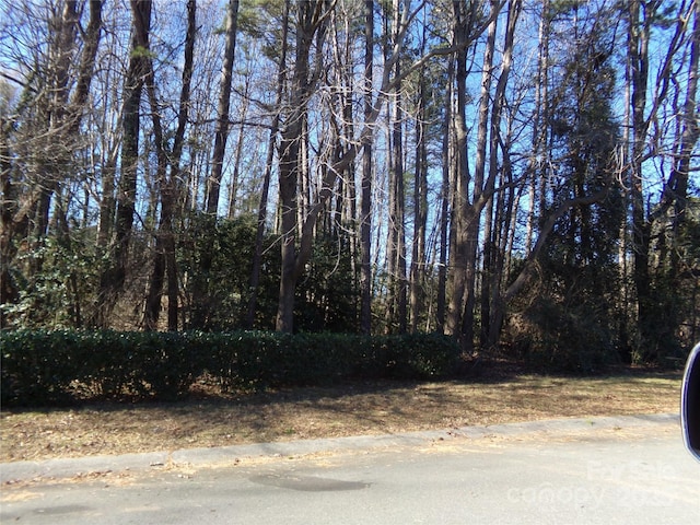 5514 Grafton Pl, Charlotte, NC 28212 - photo 16