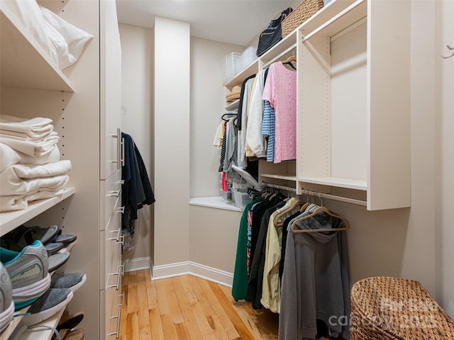 spacious closet with light wood-type flooring