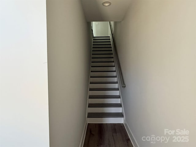 stairs with hardwood / wood-style floors