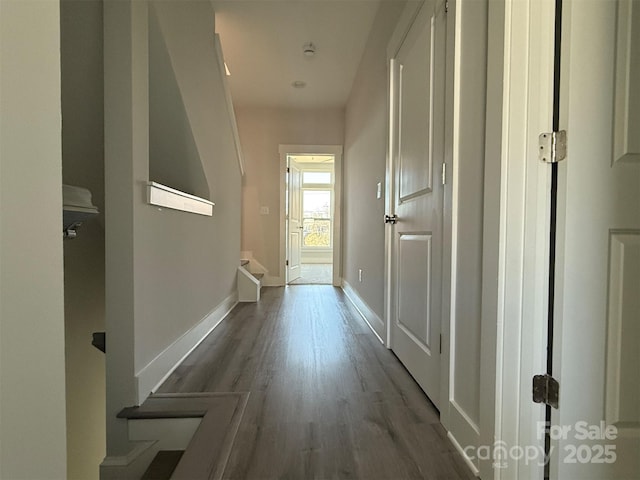 hallway featuring dark hardwood / wood-style flooring