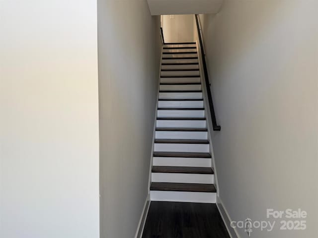 stairway with wood-type flooring