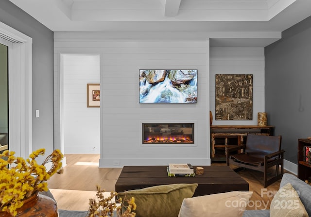 living room featuring a fireplace and light wood-type flooring