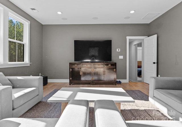 living room with wood-type flooring