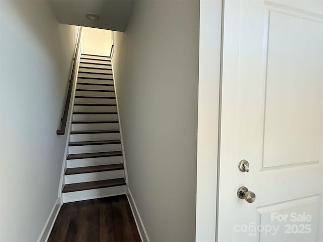 stairway with wood-type flooring