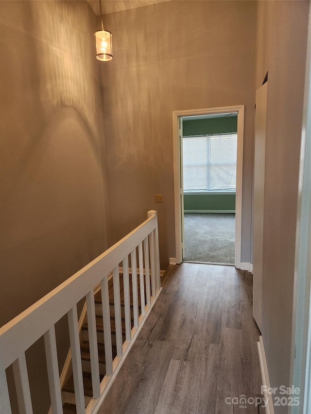 hall featuring wood-type flooring