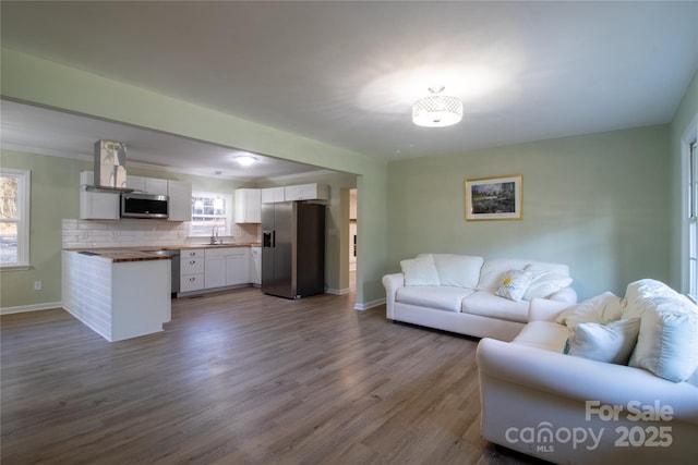 living room featuring wood-type flooring and sink