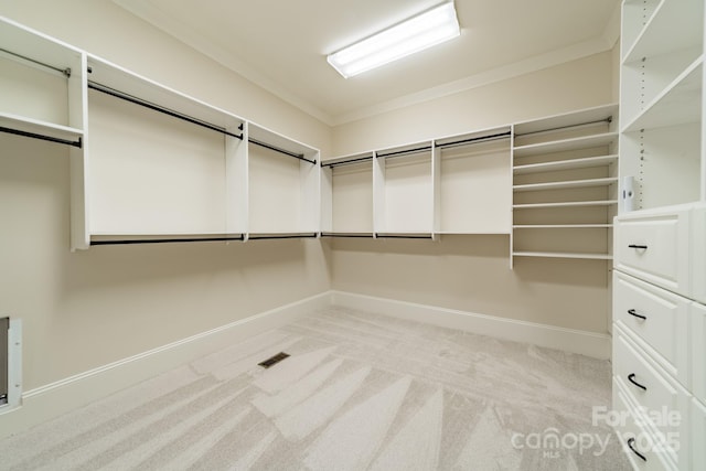 spacious closet featuring light colored carpet